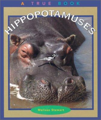 Hippopotamuses 0516222007 Book Cover