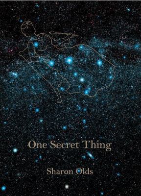 One Secret Thing 0307269922 Book Cover