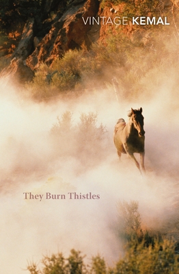 They Burn Thistles 1784870471 Book Cover