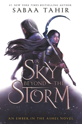 A Sky Beyond the Storm [Large Print] 1432884611 Book Cover