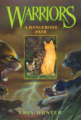 A Dangerous Path 1417735570 Book Cover