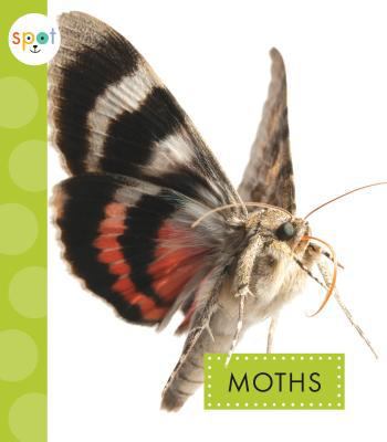 Moths 1681515385 Book Cover