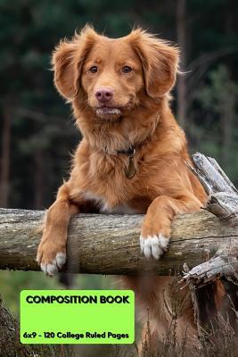 Composition Book 1072603233 Book Cover