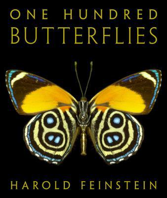 One Hundred Butterflies 0316033634 Book Cover