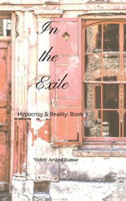 In the Exile: Hypocrisy & Reality: Book 9 B0G1CSRLHP Book Cover