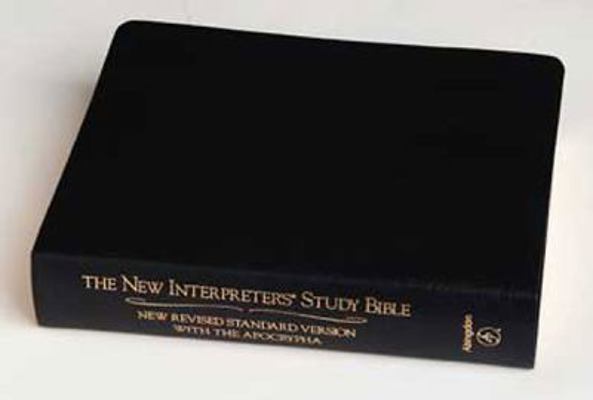 New Interpreter's Study Bible-NRSV 0687278317 Book Cover