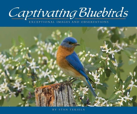 Captivating Bluebirds: Exceptional Images and O... B005JEHOC4 Book Cover