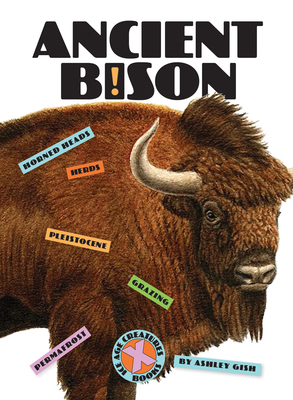 Ancient Bison 1640264329 Book Cover