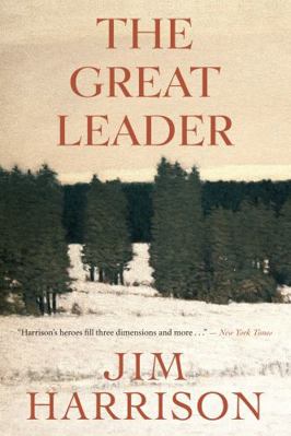The Great Leader: A Faux Mystery 177089036X Book Cover