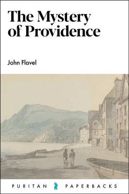 The Mystery of Providence 180040218X Book Cover