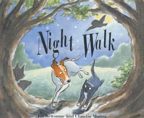 Night Walk 1842700944 Book Cover