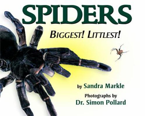 Spiders: Biggest! Littlest! 1590781902 Book Cover