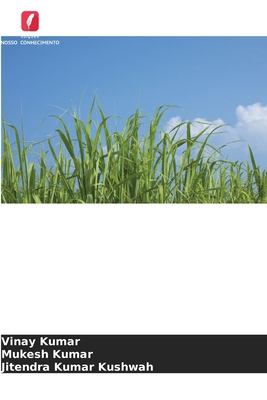 Relação entre a cobertura morta e a nutrição co... [Portuguese] 620912366X Book Cover