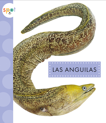Las Anguilas [Spanish] 1681527367 Book Cover