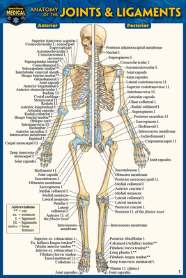 Anatomy of the Joints & Ligaments (Pocket-Sized... 1423242718 Book Cover