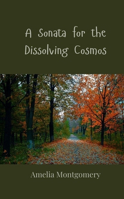 A Sonata for the Dissolving Cosmos 369080647X Book Cover