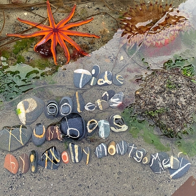 Tide Pooler's Numbers Book Cover