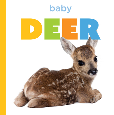 Baby Deer B0H3K3N436 Book Cover
