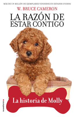 La Razón de Estar Contigo. La Historia de Molly... [Spanish] 8417968008 Book Cover