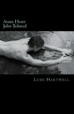 Atom Heart John Beloved 0615722350 Book Cover