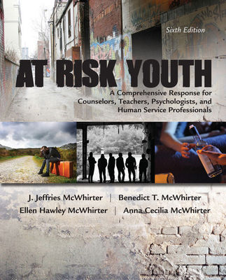 At Risk Youth 1305670388 Book Cover