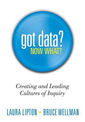 Got Data? Now What?: Creating and Leading Cultu... 1936765039 Book Cover