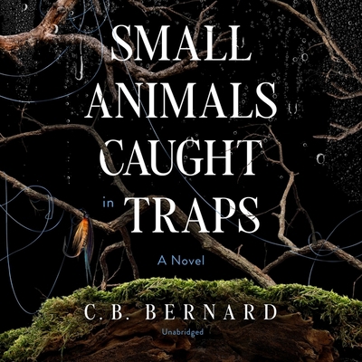 Small Animals Caught in Traps B0B7QM3J22 Book Cover
