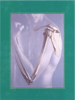 Human Anatomy 0130100110 Book Cover