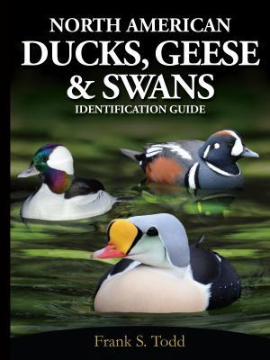 Paperback NORTH AMERICAN DUCKS, GEESE, and SWANS IDENTIFICATION GUIDE Book