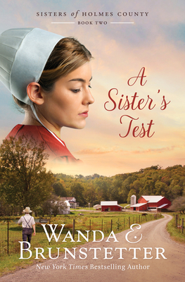 A Sister's Test: Volume 2 1636097103 Book Cover