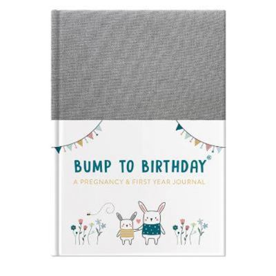 Bump To Birthday - Pregnancy & First Year Journ... 1907860940 Book Cover