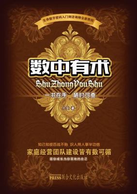 Paperback Mystery in Numbers [Chinese] Book