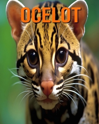 Ocelot: Des Informations et des Images Amusante... [French]            Book Cover