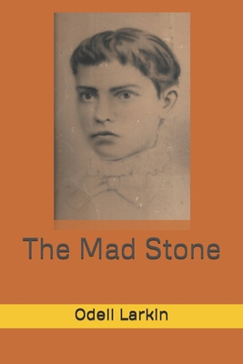 The Mad Stone B09SNY79BV Book Cover