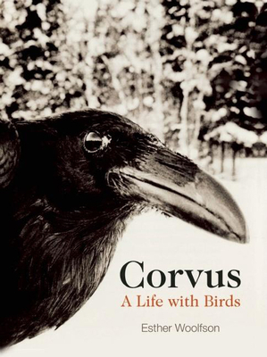 Corvus: A Life with Birds 1582434778 Book Cover