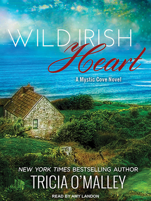 Wild Irish Heart 149456999X Book Cover