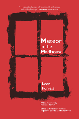 Meteor in the Madhouse 0810128055 Book Cover