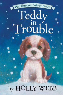 Teddy in Trouble 168010411X Book Cover