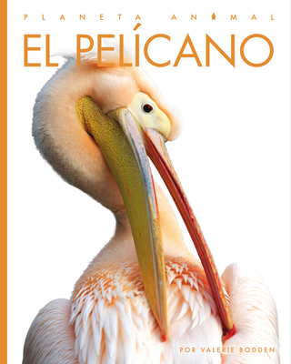 El Pelícano [Spanish] 1682771458 Book Cover