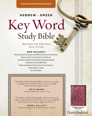 The Hebrew-Greek Key Word Study Bible: ESV Edit... 1617155071 Book Cover