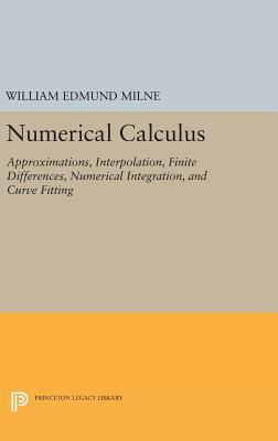 Numerical Calculus 0691653488 Book Cover