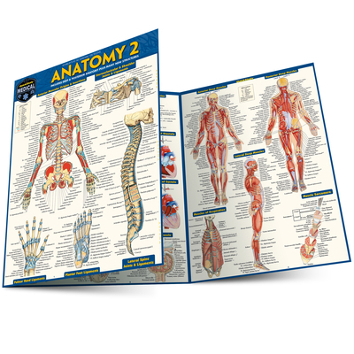 Anatomy 2 - Reference Guide (8.5 X 11): A Quick... 1572228563 Book Cover