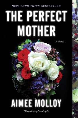 The Perfect Mother 0062696807 Book Cover