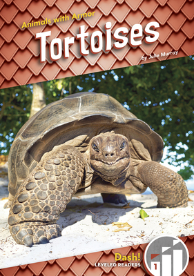 Tortoises 1644946580 Book Cover