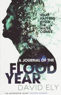 A Journal of the Flood Year 1846271673 Book Cover