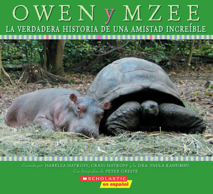 Owen Y Mzee: La Verdadera Historia de Una Amist... [Spanish] 0545037387 Book Cover