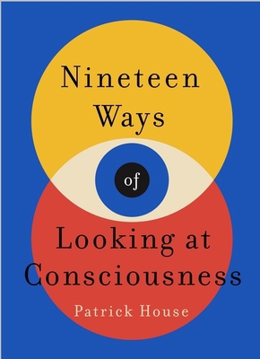 Nineteen Ways of Looking at Consciousness 1035400022 Book Cover