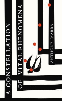 A Constellation of Vital Phenomena 1781090068 Book Cover