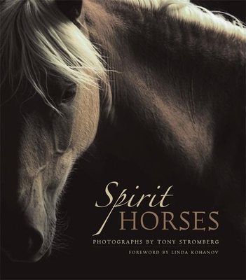 Spirit Horses 1577314999 Book Cover