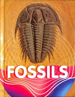 Fossils (Earth Materials and Systems) 1398204153 Book Cover